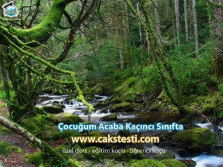 Özel Ders Eskişehir