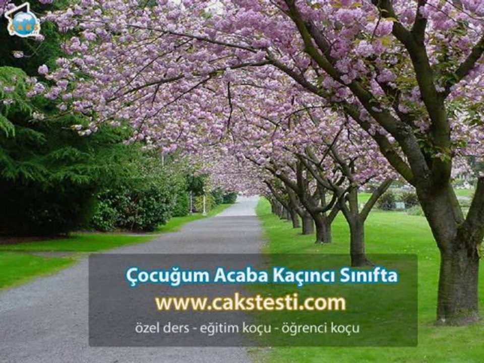 Eğitim Koçları Ankara