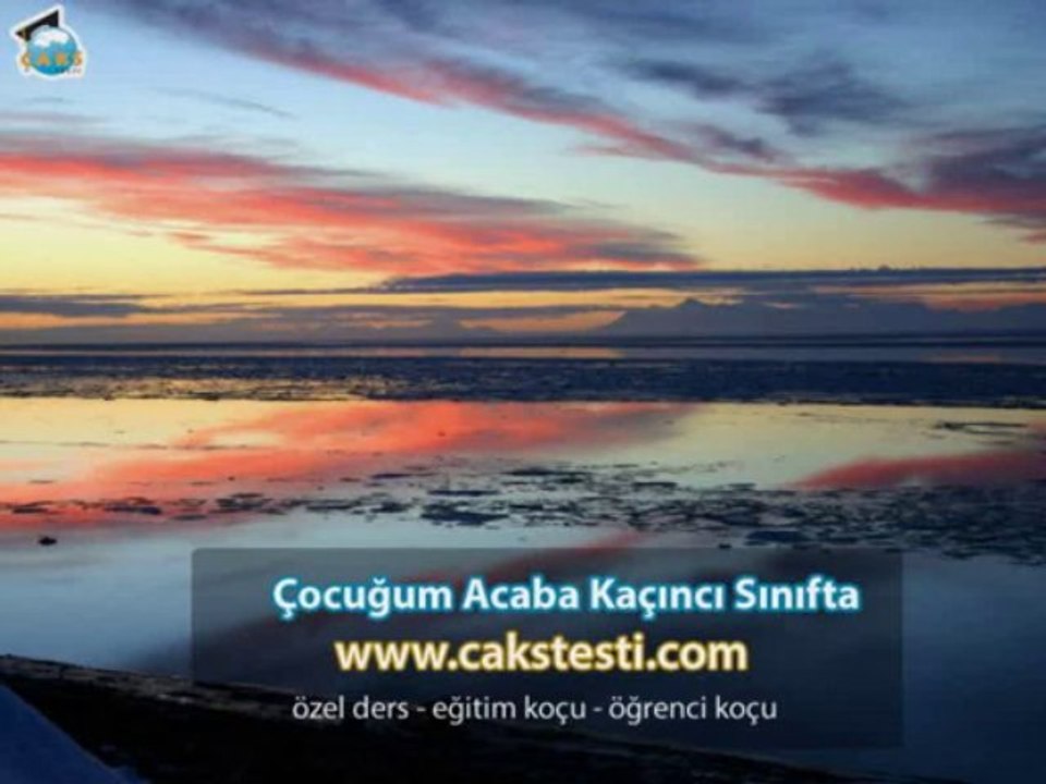 Özel Ders Resimli