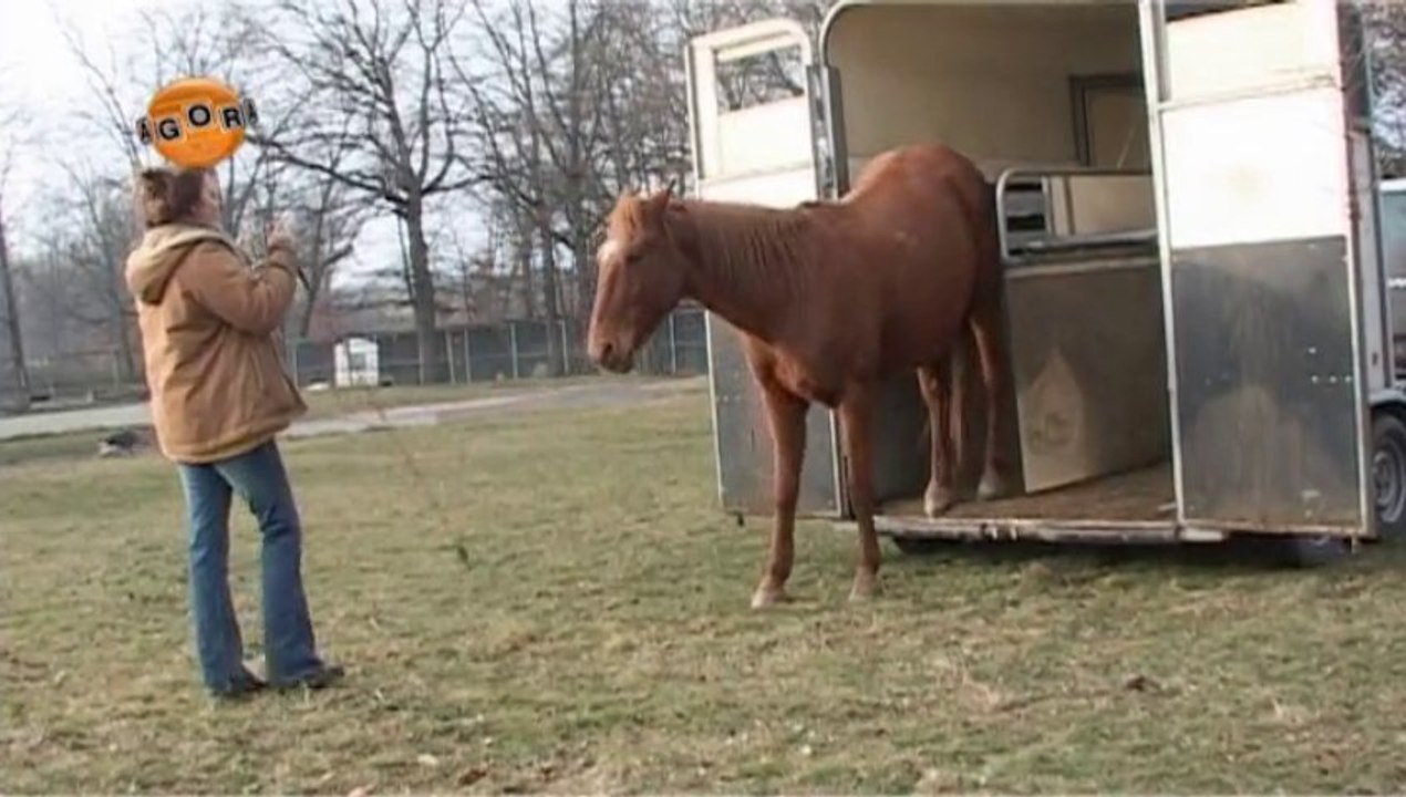 Emission agoRA - Les tendances autour du cheval en Rhône-Alpes
