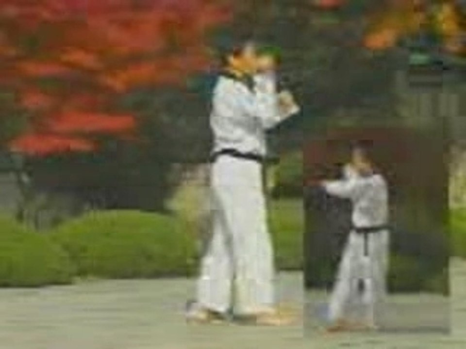 taegeug sa jang - Poomse TKD