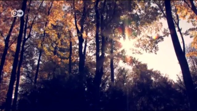 Leipzig, Dresde y Bayreuth: tras las huellas de Wagner | Destino Alemania