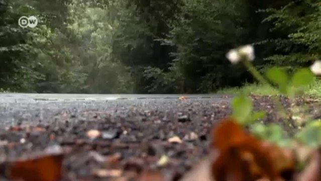 على المحك: سيارة بي أم دبليو أكس 6 | عالم السرعة