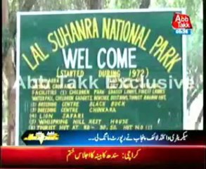 Bahawalpur 100 dear stolen in National Park