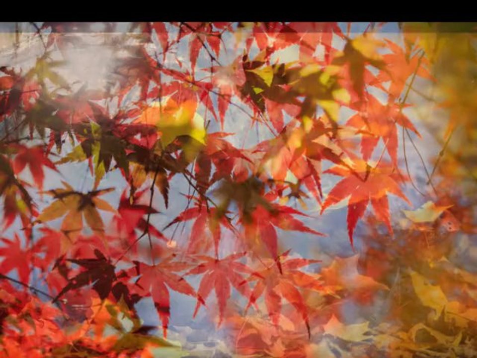 Игорь читает Тютчева.