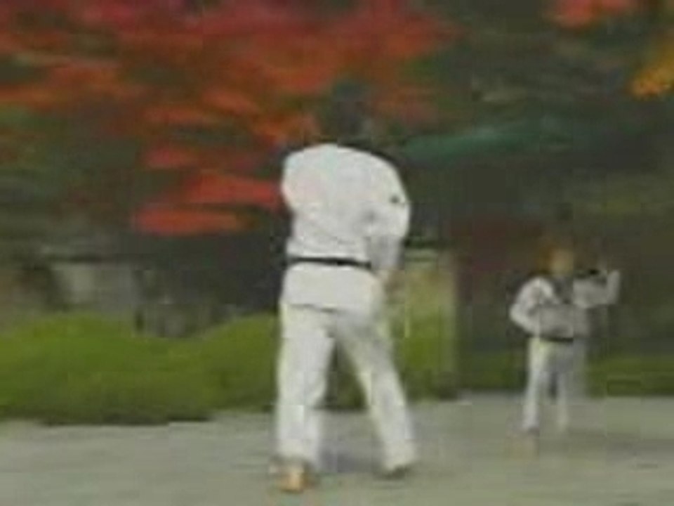 taegeug oh jang  - Poomse TKD
