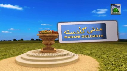 Best Information 214 - Jannati Aurton Ki Khaslaten - Haji Shahid Attari