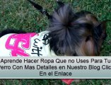 Aprende Hacer Ropa Para Perros Pequeños