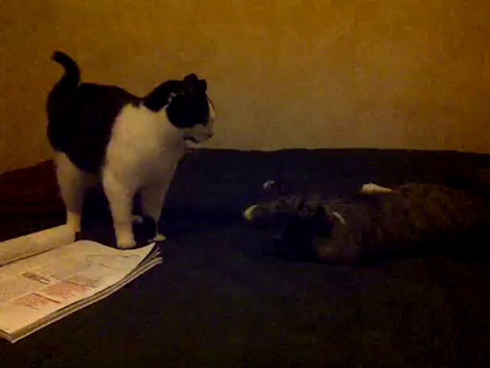 VID-20131126-00000