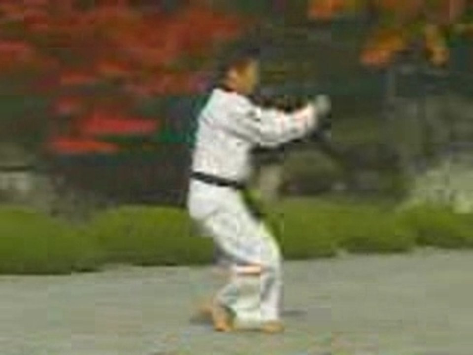 taegeug tchil jang - Poomse TKD