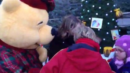 Disney rencontre avec winnie l'ourson