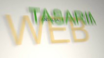 Antalya Web Tasarım | Nexmedya