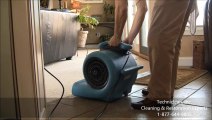 Carpet Cleaning Winnetka, IL | Professional Carpet Cleaning Winnetka