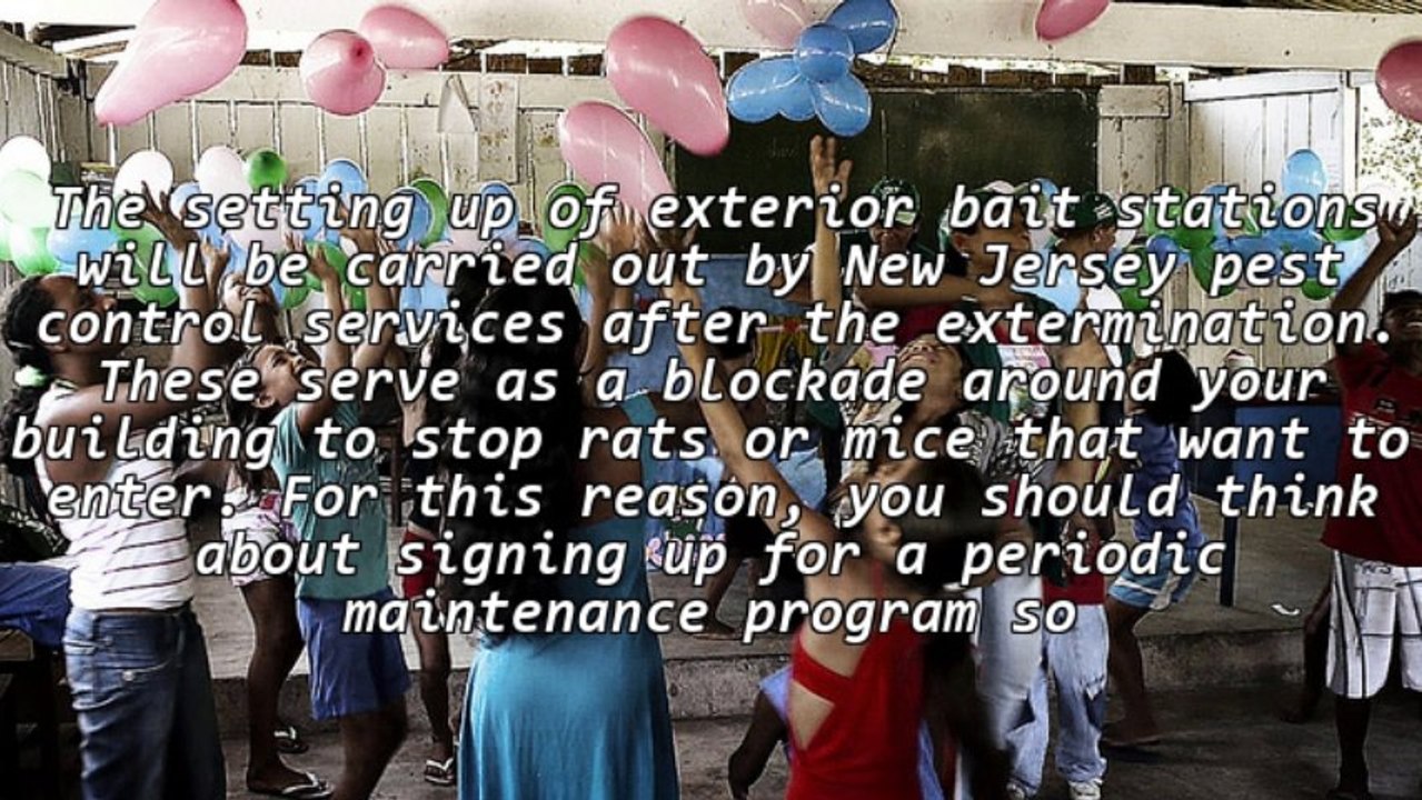 Ways To Protect Your Home From Rodents With The Help Of A New Jersey Pest Control Company