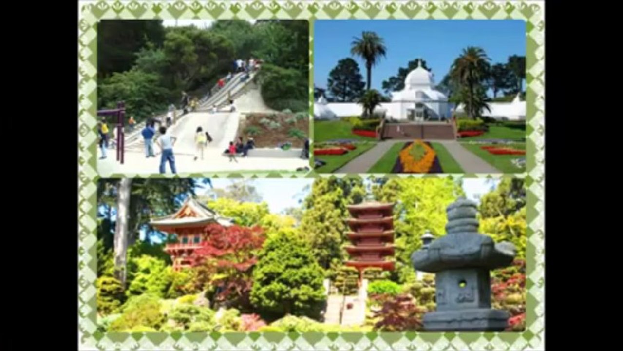 Top Most San Francisco Activities for Babies