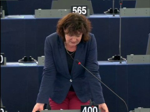 Hélène Flautre sur les stratégies d'intégration des Roms en Europe (9 décembre 2013)