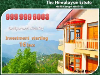 The Himalayan Estate