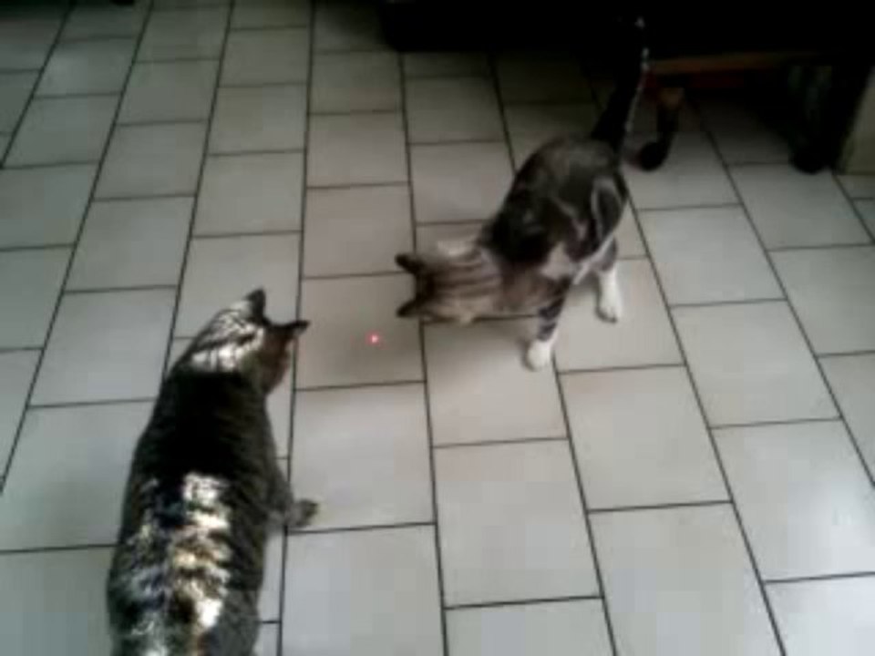 Vidéo0013