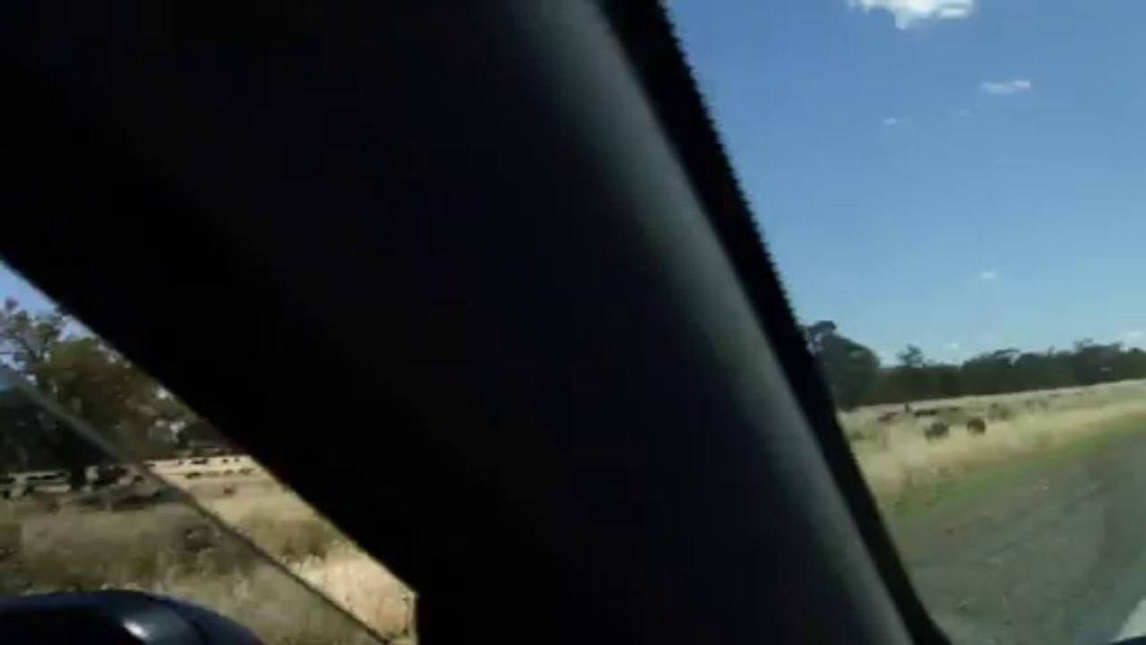 et oui ici il y a des vaches qui traversent!