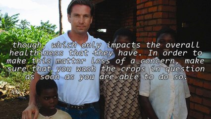 Organic Cleansing & The Efforts Of Philippe Van Den Bossche