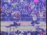 I GIGANTI DEL WRESTLING: Hollywood Hogan (Giochi Preziosi) - WCW/nWo 1999