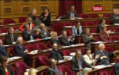 Mariage pour tous : l’UMP sort l’arme constitutionnelle
