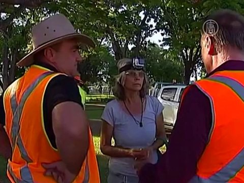 Летучие мыши оккупировали австралийский город