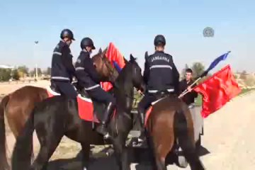 Bu atların işi zor