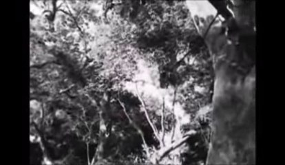 TALAT MAHMOOD - Bichad gaye do saathi PAATAL BHAIRAVI 1952