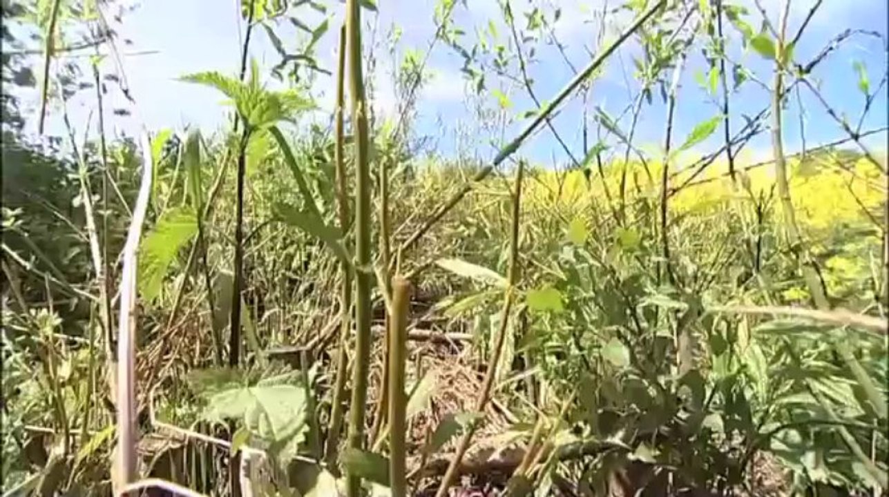 L'hydraulique douce dans un système de polyculture
