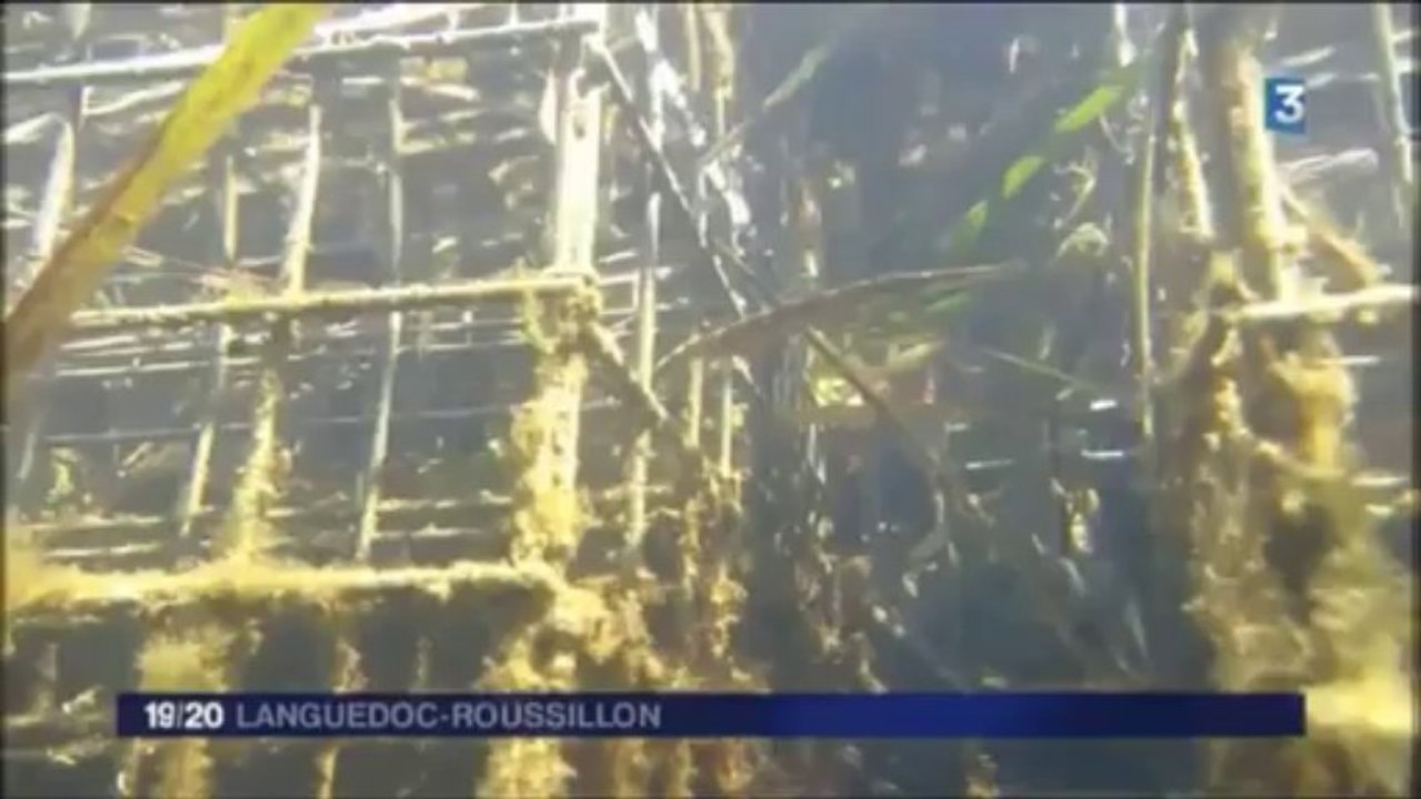 Reportage France3 :désinstallation des Biohut® à Mèze