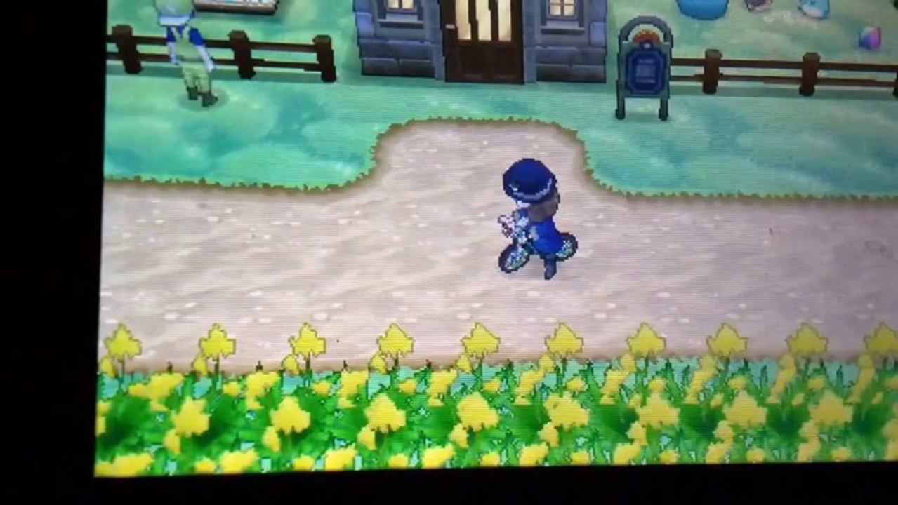 Pokemon Y: Shiny Amaura After 346 Eggs!