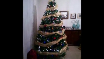 ANCHE SE E' IL 9 QUI SI FANNO ALBERI DI NATALE