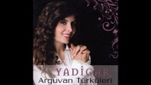 Yadigar Altay - Öyle Bir Sevda Başımda Yanar Durur (2012)