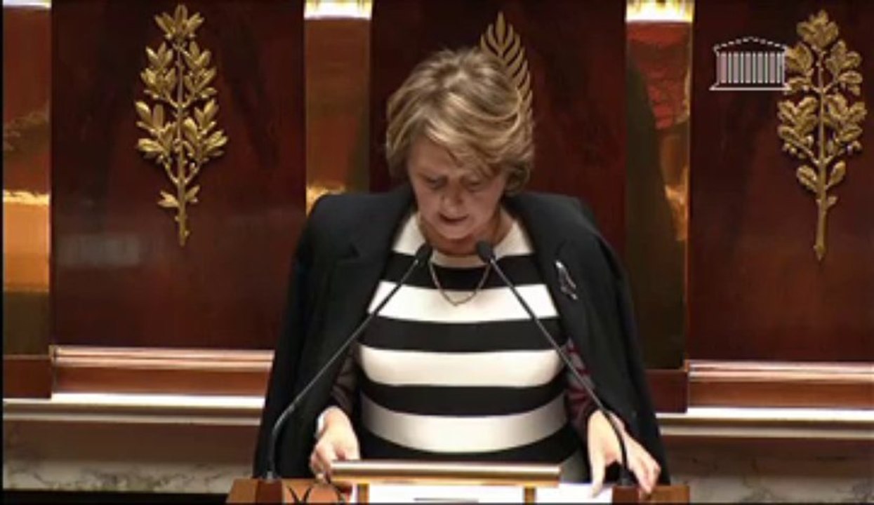 L'engagement des forces armées en République centrafricaine