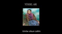 Yüksel Arı - Düşenin Dostu Olmazmış