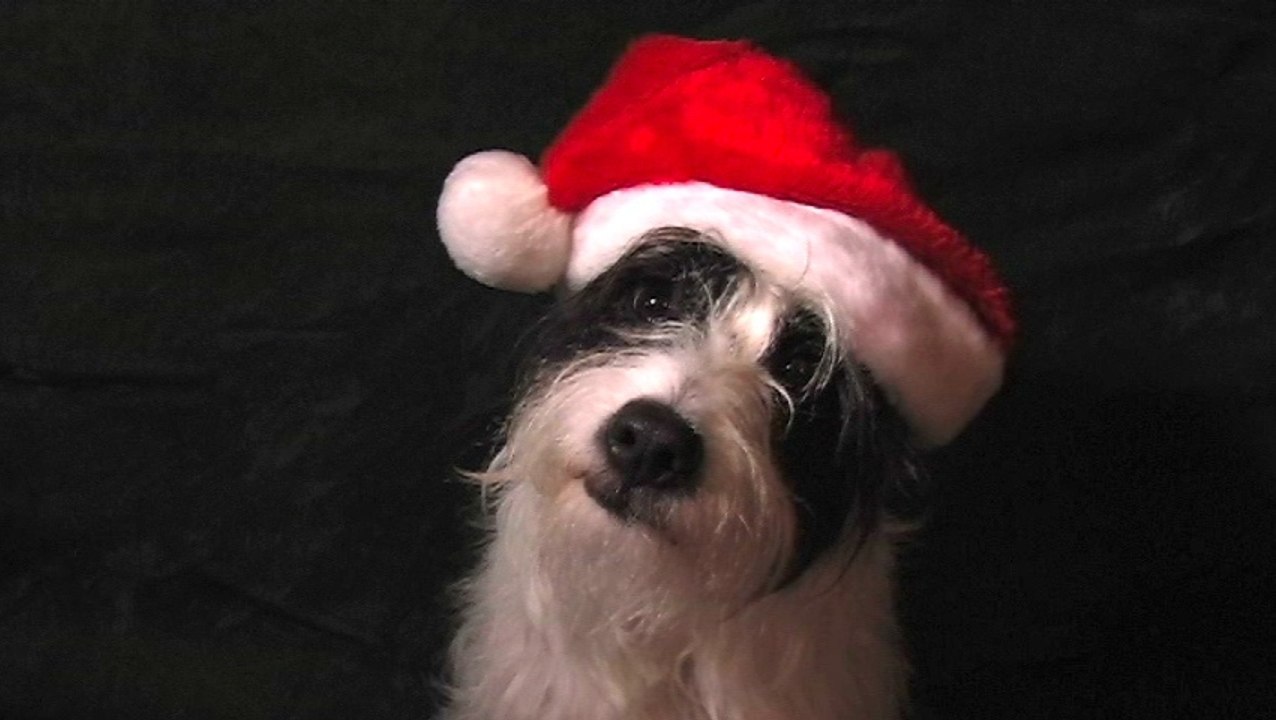 Merry Christmas & Happy New Year - Relaxing music arstist Marcome