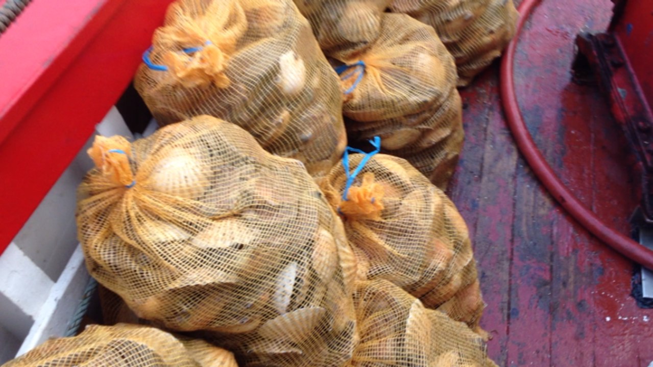 Pêche à bord du Zoé-Jules