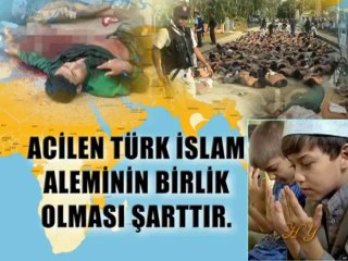Miammar ve pananide işkencenin sebebi İslam Birliğinin Olmaması!!!
