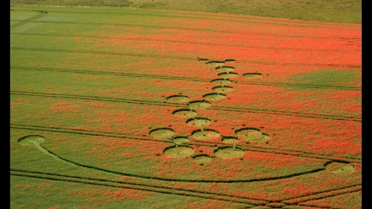Crop Circle in Flax & Poppies HD