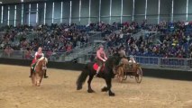 Pferd & Jagd 2013 - Black & Blonde Quadrille