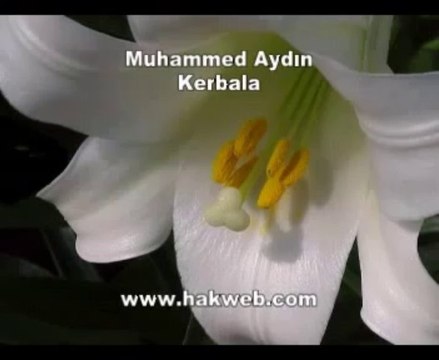 Muhammed Aydın Kerbela