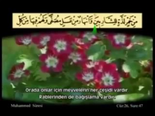 Muhammed Suresi Kabe İmamı