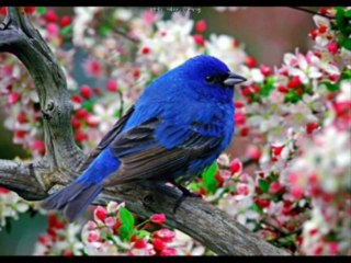 Okey azram, Okeyazram.com - YouTube