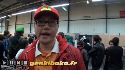 Toulouse Game Show 2013 Reportage (37/) genkibaka.fr