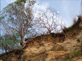 conjure one feat Aruna-still holding on