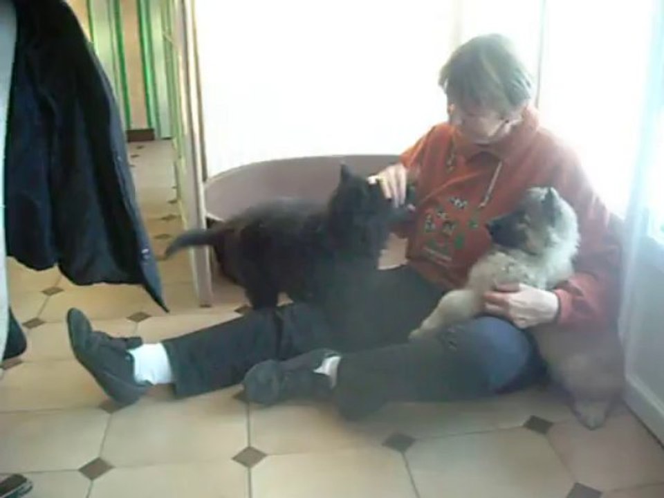 10 décembre 2013 : Carole, Impulse et Grise