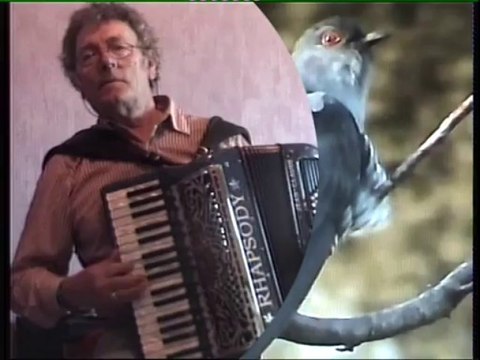 LA VALSE DU COUCOU jean claude musette