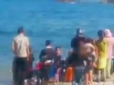 Algerie un dauphin joue avec des enfants sur une plage