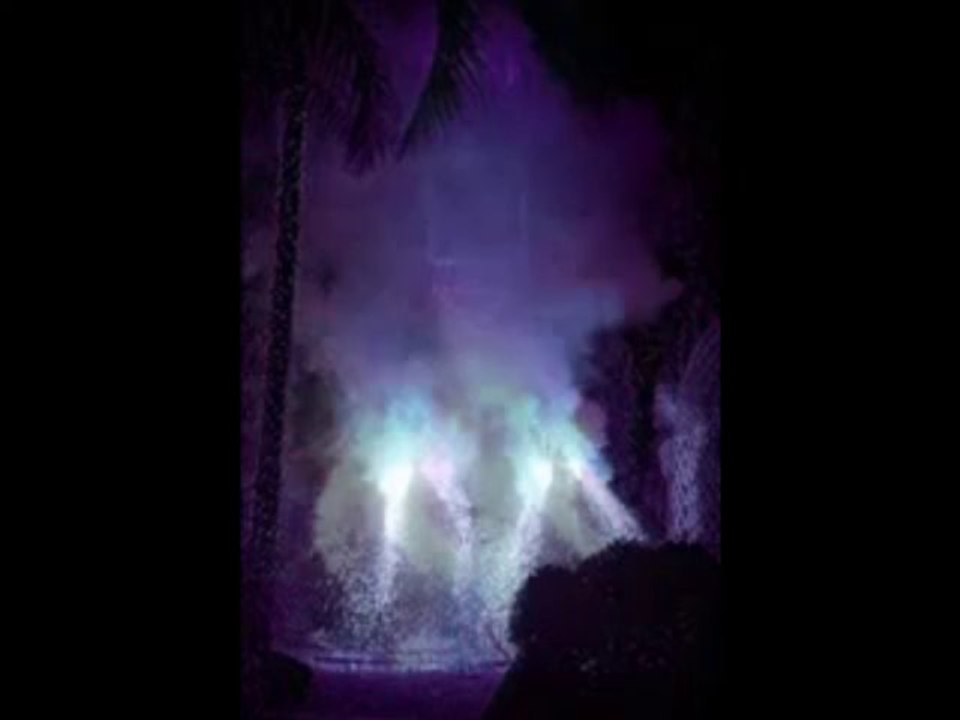 SUNSET DAZE (No Sense of Reason) - SELFISH